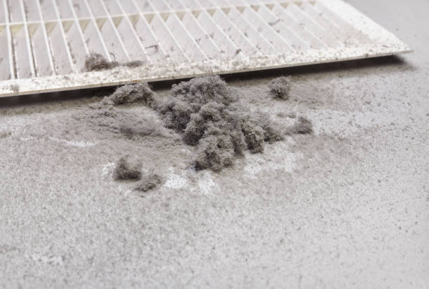 Best HVAC Air Duct Cleaning  in Silver Spring, MD