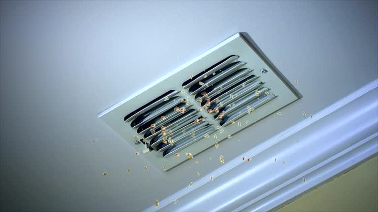 Best HVAC Duct Inspection Services  in Silver Spring, MD