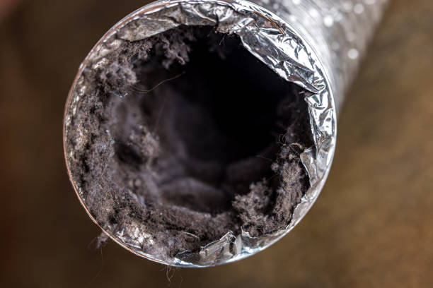 Best Air Duct Cleaning Near Me  in Silver Spring, MD